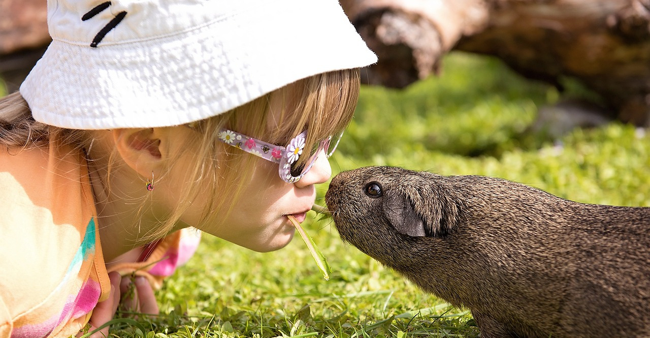 Guiding rural families on the special‑needs journey with faith, heart and hands‑on support.